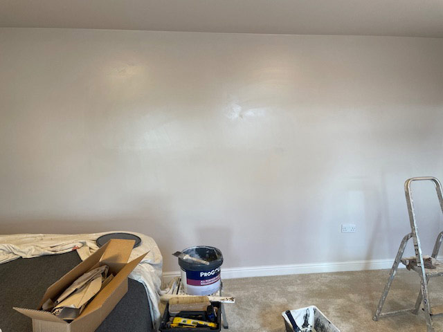 Murals by R Douglas Painters & Decorators